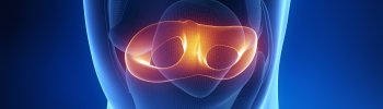 Cómo prevenir la degeneración del menisco mediante fisioterapia.