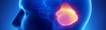 Ataxia cerebelosa: Qué es, causas, síntomas y tratamiento a través de la fisioterapia neurológica. Ataxia cerebelosa: Qué es, causas, síntomas y tratamiento a través de la fisioterapia neurológica.