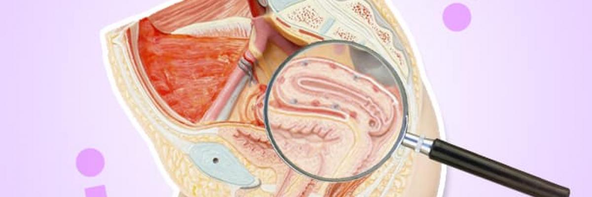 Afecciones Respiratorias y su Orientación en el Suelo Pélvico 