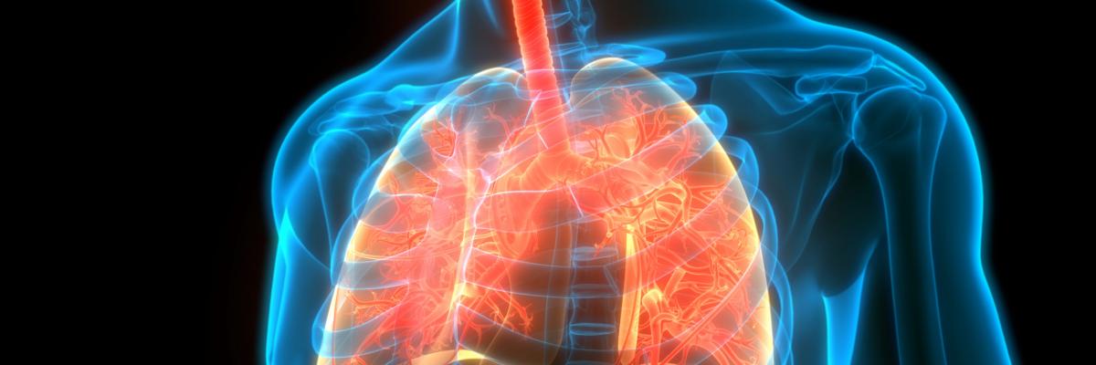 EPOC: Tratamiento mediante la Fisioterapia Respiratoria Domiciliaria