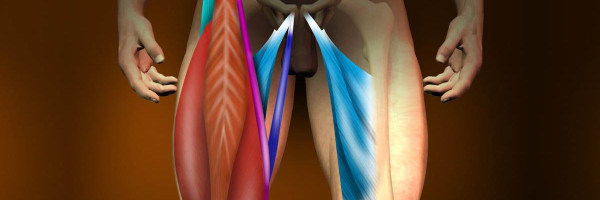 La Lesión Muscular del Aductor en el Futbolista, Enfoques primarios para la Readaptación.
