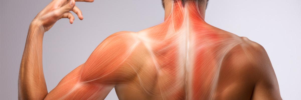 Manejo de la fibromialgia con fisioterapia: alivio del dolor crónico